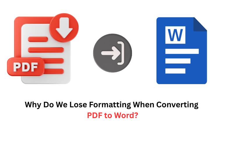 Convert PDF to Word without losing formatting 